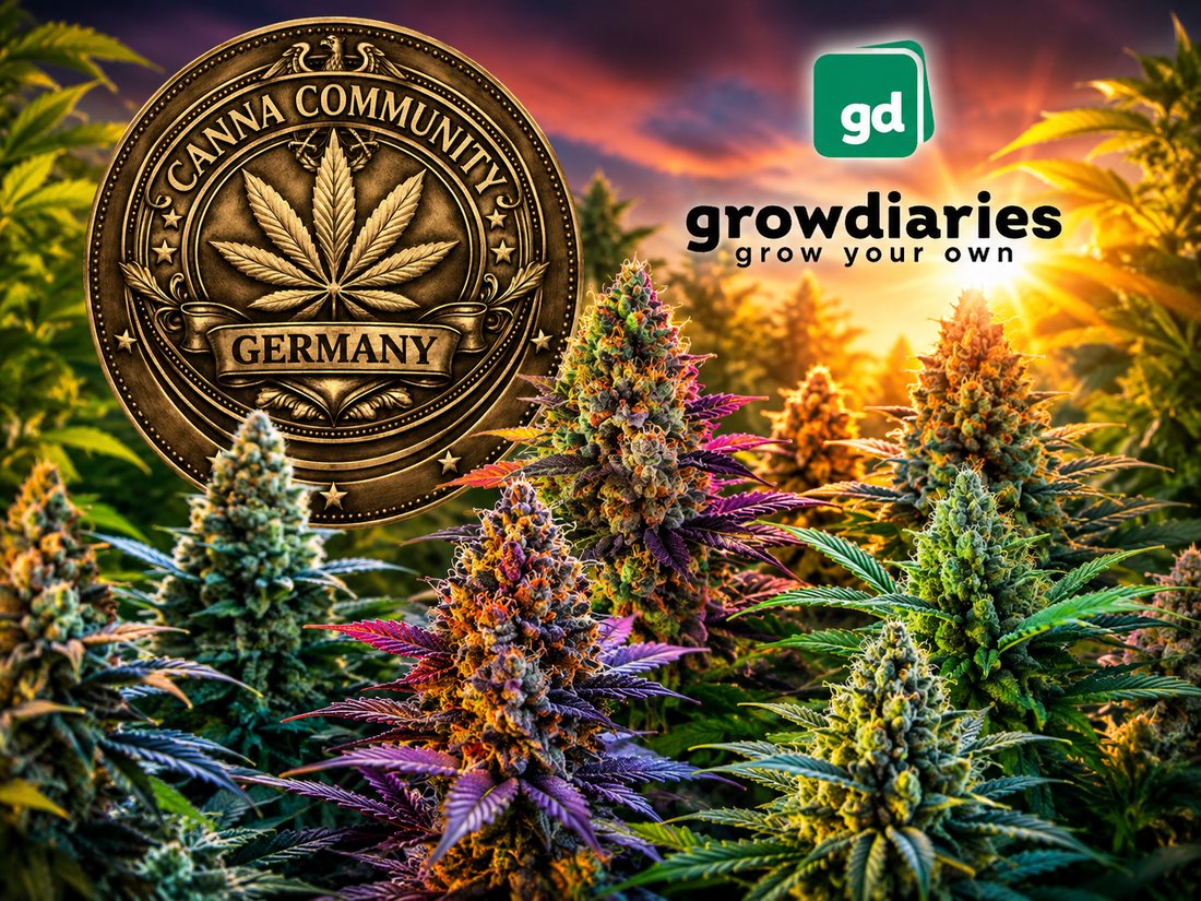 Test-Grows auf GrowDiaries
